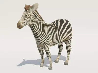 Low-Poly Zebra Low-poly 3D model