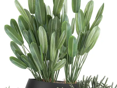 Houseplants in a pot for the interior 744 3D model