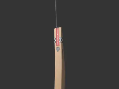 Gray Nicolls Cricket Bat 3D model