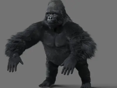 Gorilla-maya gorilla 3D model