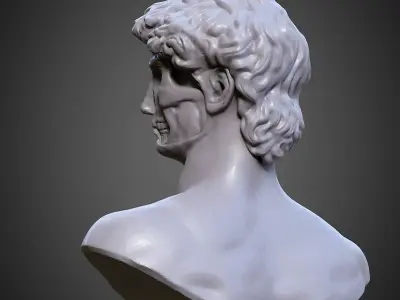 Statue of David Bust with Skull exposed 3D print model