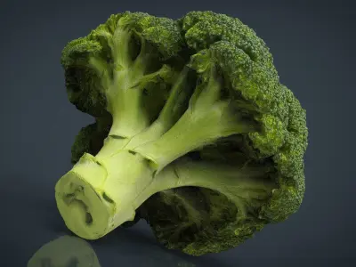 Broccoli   High and Low Poly blend 4 4 Included Low-poly 3D model