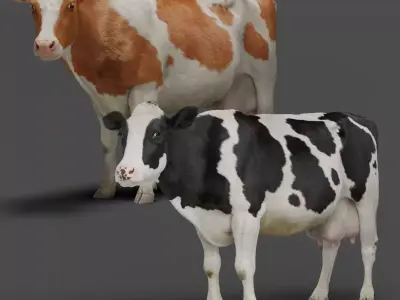 Holstein Female Animation - VFX Grace 3D model