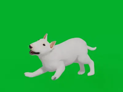 Bull Terrier Puppy Dog Low-poly 3D model