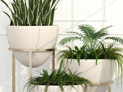 plant 39 Room plants 14 3D model