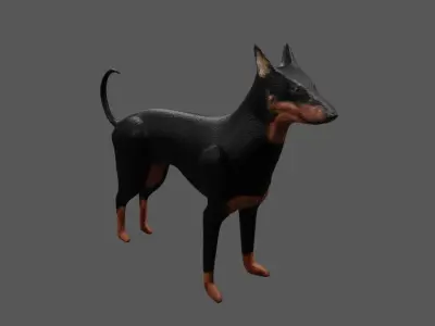 Dog Doberman - Low poly and High poly - Cachorro Low-poly 3D model