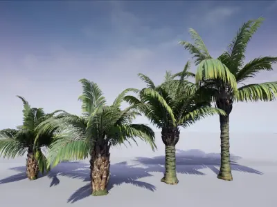 HQ Plants Volume 1 Palms for unreal engine 3D model set of 24 3D model