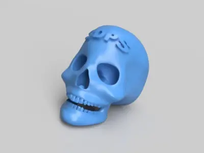 Logotip on Human Skull 3D print model