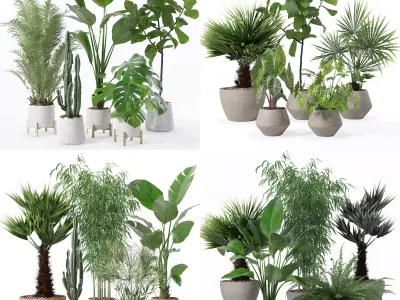 20 Photorealistic Flowers for Interiors - set 122 126 129 132 3D Model Collection