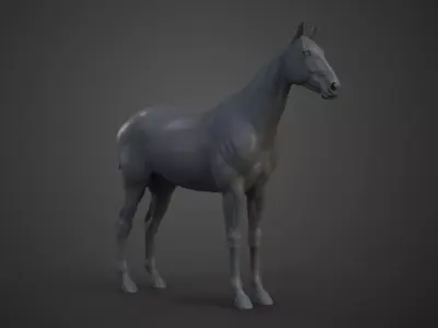 Horse Model 3D model