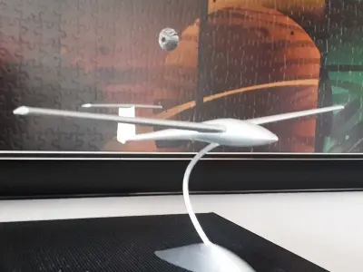Decorative Glider Model  3D print model