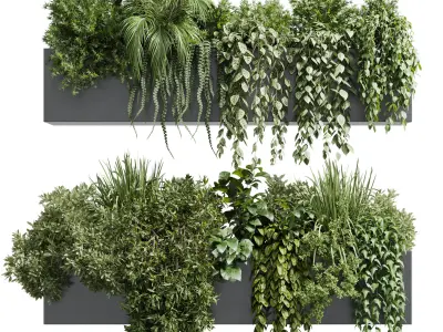 wall plant hanging plants collection Indoor plant  Low-poly 3D model