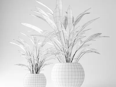Home pot plant - palm decoration for interior design 3D model