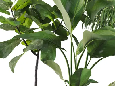 Plants collection 113 3D model