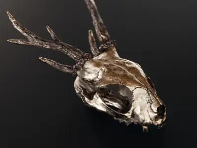 feline demon skull 3D model