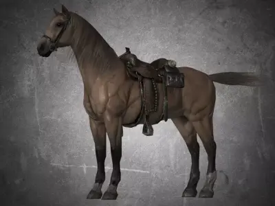 Horse - D9-D10 3D model