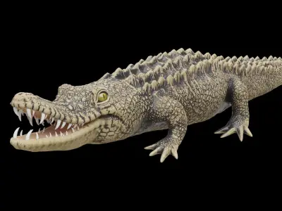 crocodile 3d model 3D model purchase