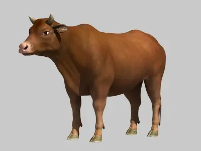 bull cow buffalo 3D model