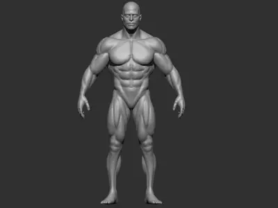 bodybuilder 3D print model male body 3D print model
