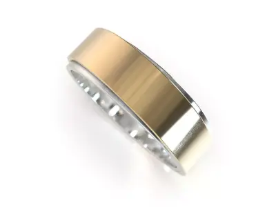 ring obr 628 3D print model