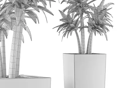 Plants Collection 106 3D model