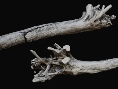 Driftwood Props for Unreal Nanite 3D model