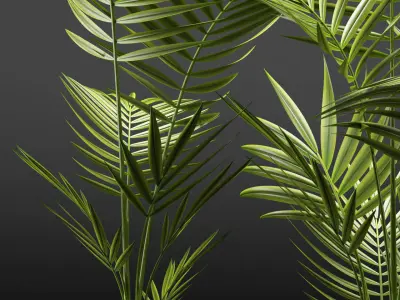 Plants 110 3D model