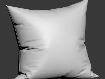 Zarahome Decorative Pillows Set  3D model
