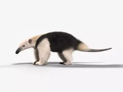 Baby Anteaters Animated VFX Grace 3D model