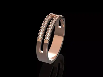 Double Ring 3D print model