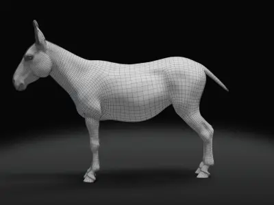 Grey Donkey Animated 3D model