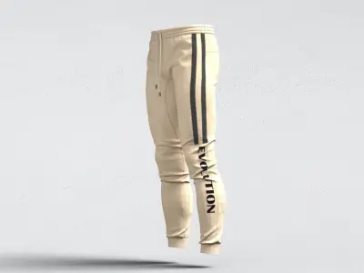 Mens sport pants 3D model