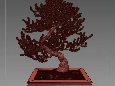Sakura bonsai 3D model