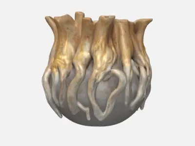 Roots vase - Rooted Elegance 3D print model