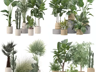 20 Photorealistic Flowers for Interiors - set 201 209 216 219 3D Model Collection