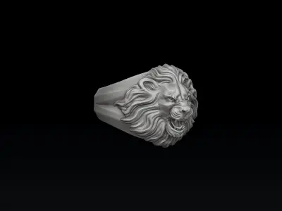 Lion Pendant Ring Collection Set 3D print model