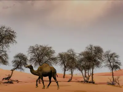 3D Rigged and Animated Arabian Camel Model Low-poly 3D model