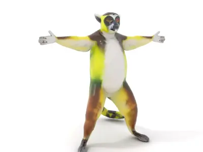 Vibrant Lemur model pack Low-poly 3D model