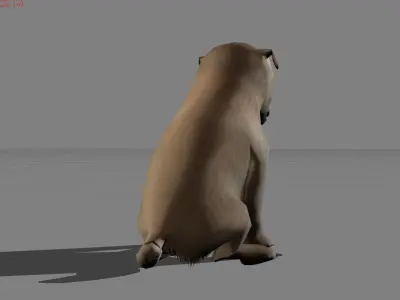 Puppy Dog Animal Low-poly 3D model