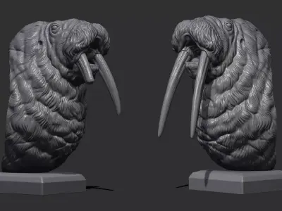 Walrus bust 3D print model
