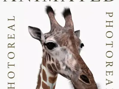 Photoreal HD Giraffe - 3d model 3D model