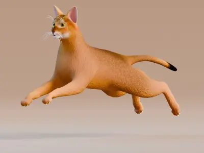 Low poly - Stylized cats - Abyssinian Cat Low-poly 3D model