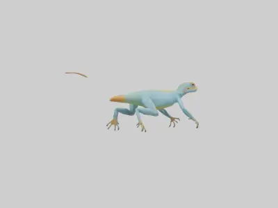 Collared Lizard running model Low-poly 3D model