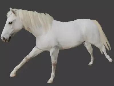 Animated White Horse 3D model
