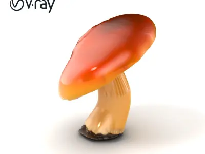 Young Chanterelle Mushroom Curvature model pack Low-poly 3D model