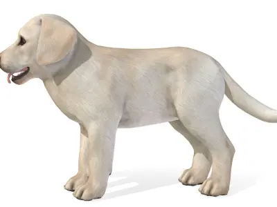Puppy - Labrador Low-poly 3D model