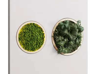 vertical garden circle and moss in wooden frame 32 3D model