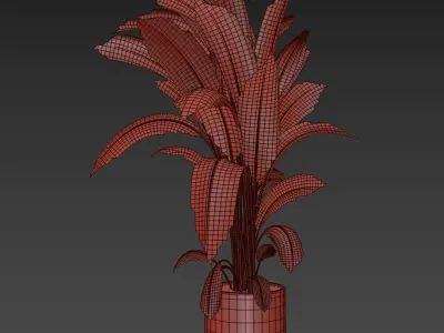 indoor plant 031 3D model