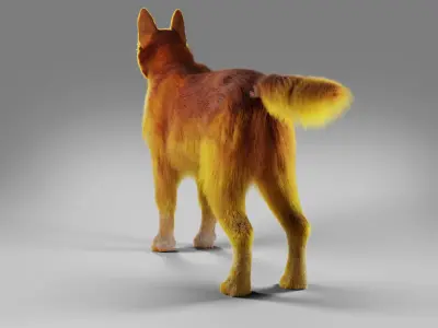 Fur Red Dog No Rigged Low-poly 3D model