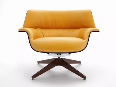 Coach modern lounge chair 3D model